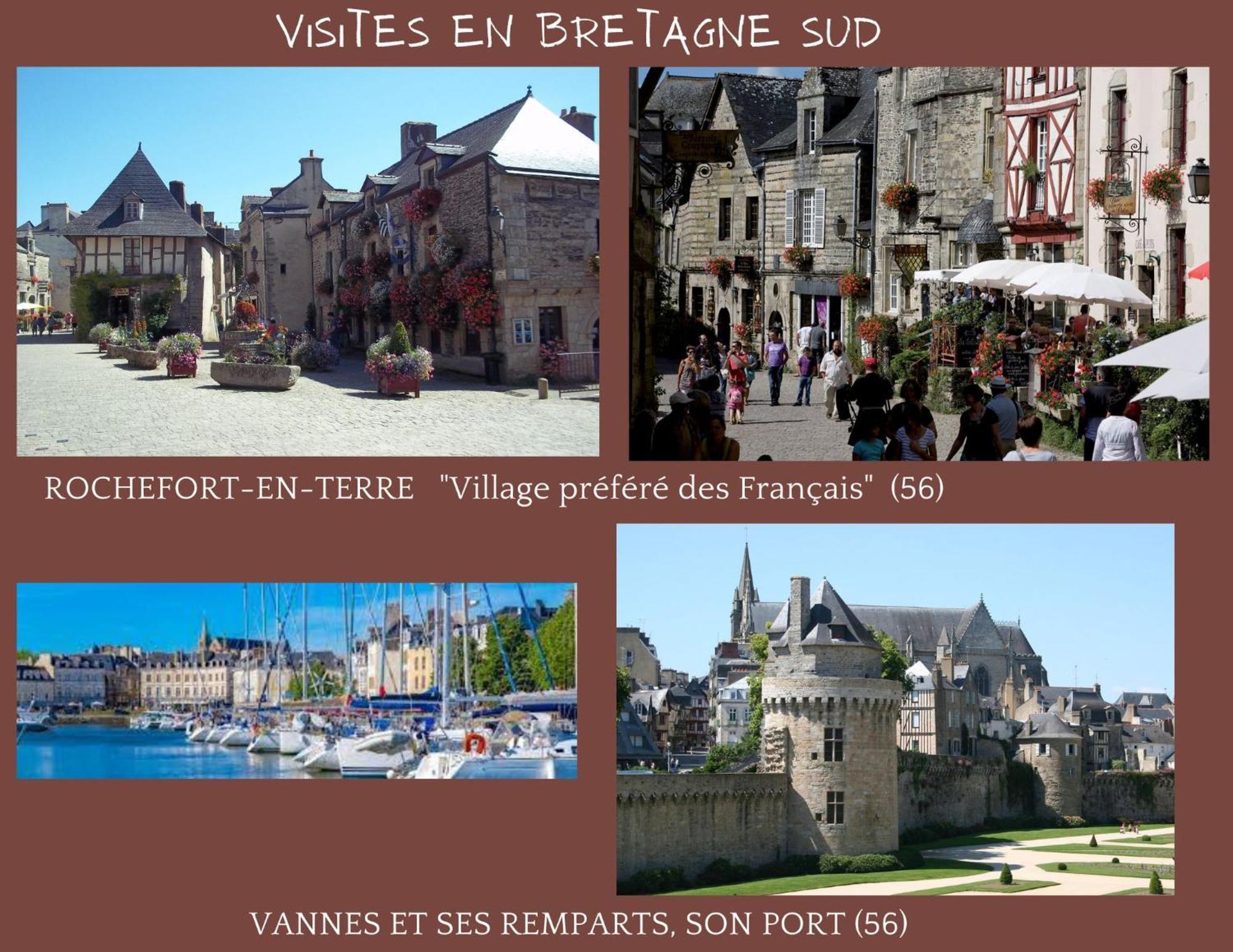 O Studio Terrasse - Centre Ville De Lorient - Gare Eksteriør billede